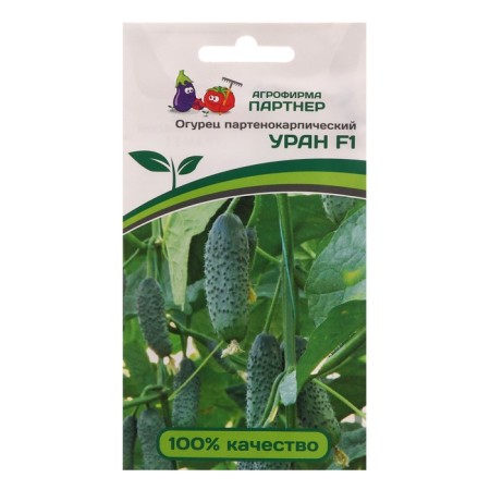 Seeds Cucumber Parthenocarpic "Uranus" F1, 5 pcs.