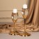 Climber Metal, glass per 1 candle "Serence" color gold 11 x 11 x 21 cm