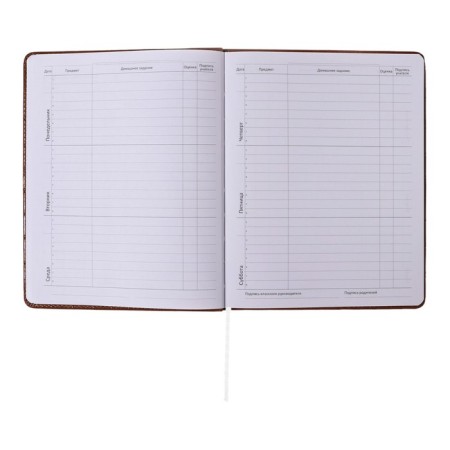 Universal diary for grade 1-11 Feel Inspired, solid cover, artificial leather, foam rubber, foil embossing, liesse, 80 g/m2-6