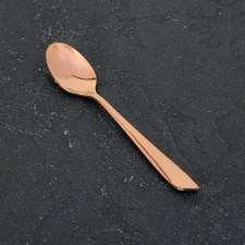 A spoon of a teaspoon of stainless steel Magistro 