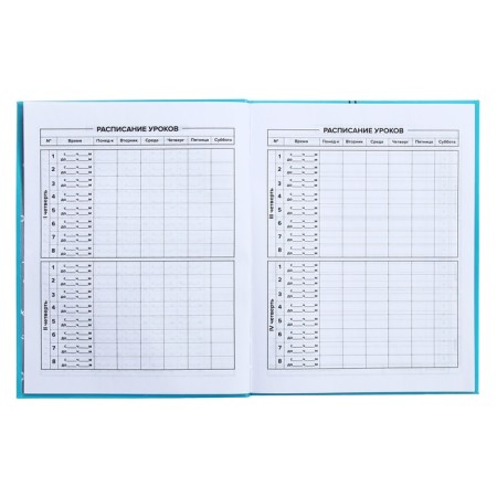 Universal Diary Grade 1-11, 48 sheets "Blue Headphones", integral cover, matte lamination, selective UV-clock-7