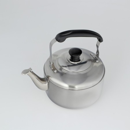 Kettle with stainless steel whistle, 3 l, chrome color-4