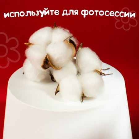 Dry flowers of cotton, set 3 pcs., Size 1 pc. 6 × 6 cm, white color-6