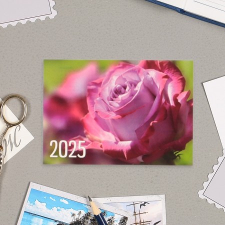 Pocket calendar "Flowers" 2025, 7 x 10 cm-5
