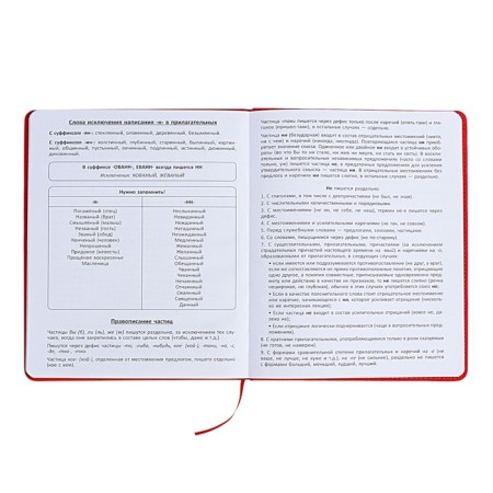 The universal diary for the 1-11 classes "Anime", a solid cover made of artificial leather, application, lies, 48 ​​sheets, red-11
