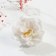 Soap petals 