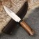 Tourist knife "Shark"