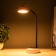 Table lamp "Ears" LED 3 modes 2W USB pink 6x12x37 cm Risalux