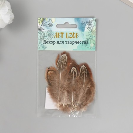Decorative pheasant feather "Rice. Brown" set 20 pcs h = 5-7 cm-3