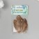 Decorative pheasant feather "Rice. Brown" set 20 pcs h = 5-7 cm