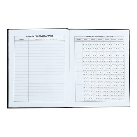 Universal Diary Grade 1-11, 48 raccoon sheets, solid cover, foil embossing, glossy lamination, universal cheat sheet, block 65 g/m2-5