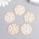 Decor for creativity Plastic "Lace Flower" White 3.2x3.3 cm