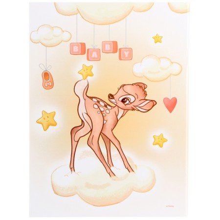 Folder for birth certificate, 1 file 21x30 cm, Bambi-4
