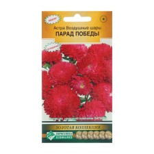 Flowers of Astra 