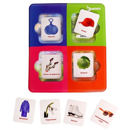 Sorter "Study the Seasons" with Doman's cards-1