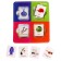 Sorter "Study the Seasons" with Doman's cards