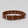 Collar "Lyon" with spikes 45 x 2 cm, Osh 34-40 cm, brown