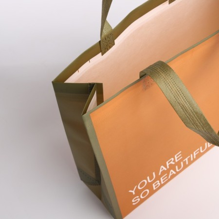 Bag without fasteners, brown color-2