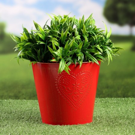 Kashpo "Bucket with heart" red with gilding, 18x18x15cm