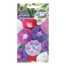 Flowers of the Ipomey 