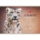 Album for drawing A4, 48 sheets, on a paper clip, "Wild World", covered cardboard, matte lamination, embossing, block 100 g/m², mix
