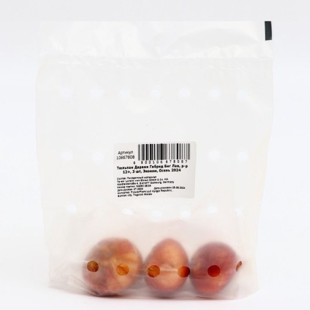 Tulip Darwin Hybrid Big Lav, Rr 12+, 3 pcs, Economy, Autumn 2024-1