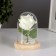 Nightlight "Rose" LED 3HAAA White 9.5x9.5x14cm