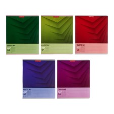 A notebook of 96 sheets in the Erichkrause Duotone Next cage, cover coated cardboard, output block, whiteness 100%, mix