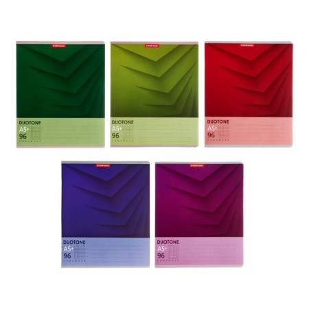 A notebook of 96 sheets in the Erichkrause Duotone Next cage, cover coated cardboard, output block, whiteness 100%, mix