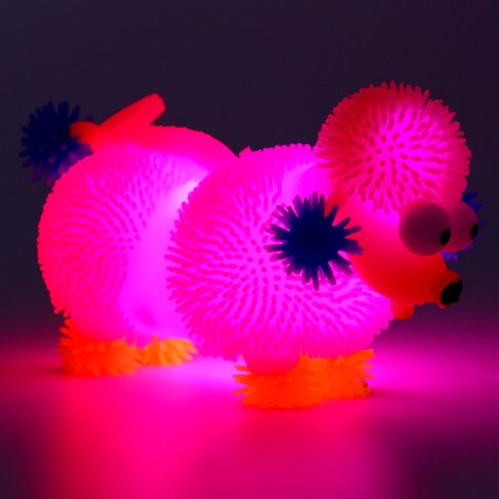 Ball children's rubber -tree light “Poodle”, Mix color, in showbox-9