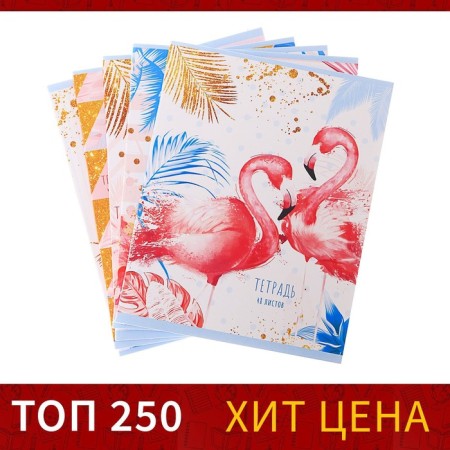 Notebook of 48 sheets in Calligrata Flamingo cage, cover coated cardboard, uf-lak, offset block, mix-2