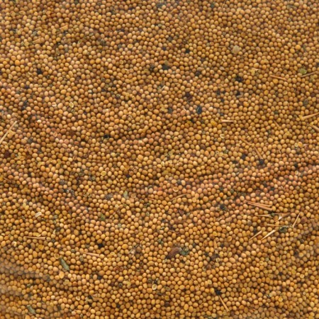 Bustic seeds, my choice, 0.5 kg-2