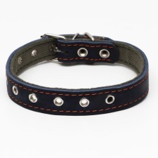 Collar combined leather/tarpaulin, dimensionless, 54 x 2.5 cm, Osh 17-45 cm, blue