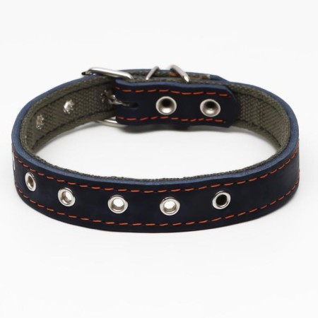 Collar combined leather/tarpaulin, dimensionless, 54 x 2.5 cm, Osh 17-45 cm, blue