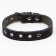 Collar combined leather/tarpaulin, dimensionless, 54 x 2.5 cm, Osh 17-45 cm, blue