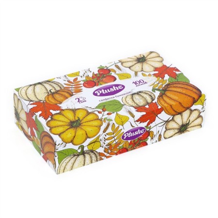 Paper napkins in Plushe box, 2 layers, 100 sheets-7