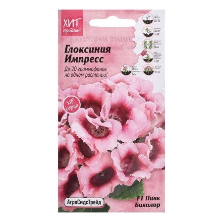 Gloxinia flowers "Impress F1 Pink Bikolor", 5 pcs