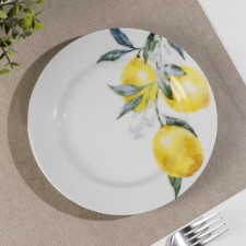 Porcelain plate 