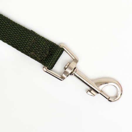 Leash 5 m x 2 cm, green-1