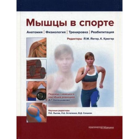 Muscles in sports. Anatomy. Physiology. Training. Rehabilitation. Ed. Kalashnikova D.G.
