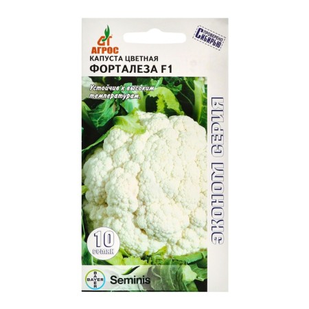 Cabbage Cabbage Seeds "Fortalem" F1 10pcs* Economy