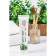 Natural toothpaste "Complex care. Eucalyptus ", 75 ml