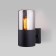 Street wall lamp Elektrostandard, Roil, 175x110x210 mm, E27, black color