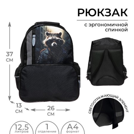 School backpack, 37 x 26 x 13 cm, ergonomic back, calligrata orth "raccoon"