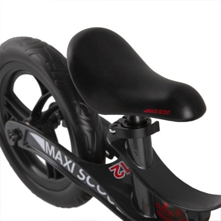 Begwell 12 "Maxiscoo Rocket, graphite color-5