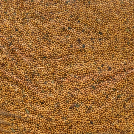 Seeds mustard, my choice, 5 kg-2