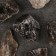 Set for creativity "smoky quartz", chopped, fraction 2-3 cm, 100 g