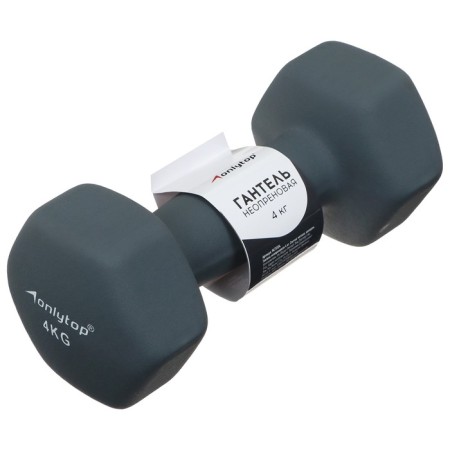 Neoprene dumbbell, 4 kg, gray color