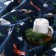 Bed linen "Ethel" Euro Winter Animals 200*217 cm, 240*220 cm, 70*70 cm - 2 pcs