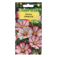 Cosmea Flowers 